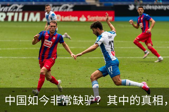 中国如今非常缺驴？其中的真相，比你想象的还要荒诞得多