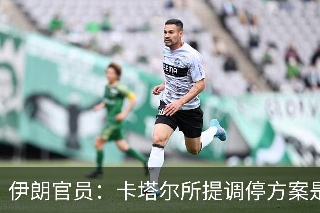 伊朗官员：卡塔尔所提调停方案是“无法接受的构想”