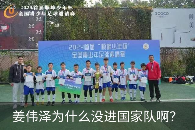 姜伟泽为什么没进国家队啊？