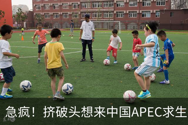 急疯！挤破头想来中国APEC求生，因国内清算打响，高市或锒铛入狱
