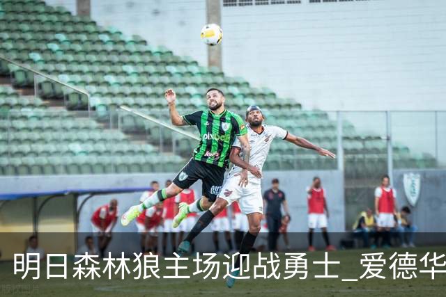 明日森林狼主场迎战勇士 爱德华兹出战成疑 迪文岑佐缺席
