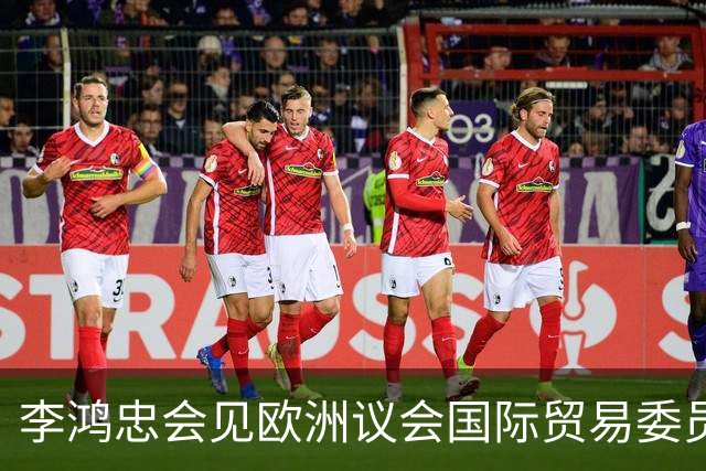 李鸿忠会见欧洲议会国际贸易委员会代表团