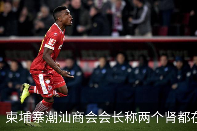 柬埔寨潮汕商会会长称两个肾都在！
