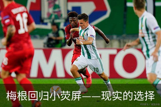 梅根回归小荧屏——现实的选择