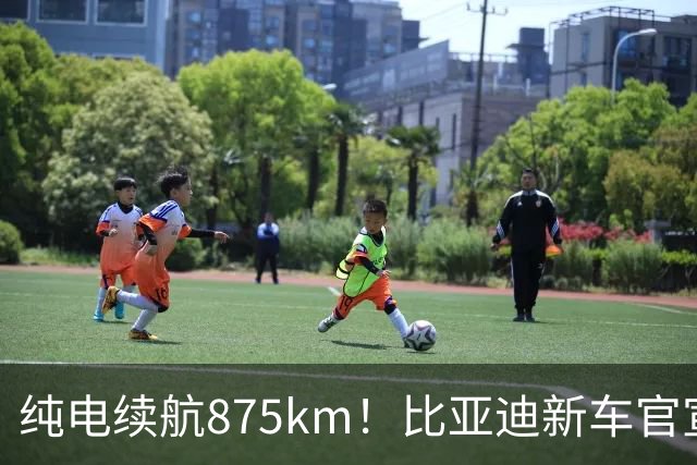纯电续航875km！比亚迪新车官宣：10月23日即将上市