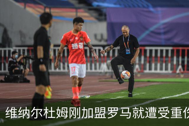维纳尔杜姆刚加盟罗马就遭受重伤 提前告别今年比赛