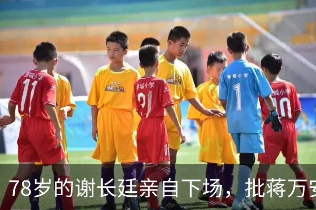 78岁的谢长廷亲自下场，批蒋万安“能力政绩配不上傲慢态度”